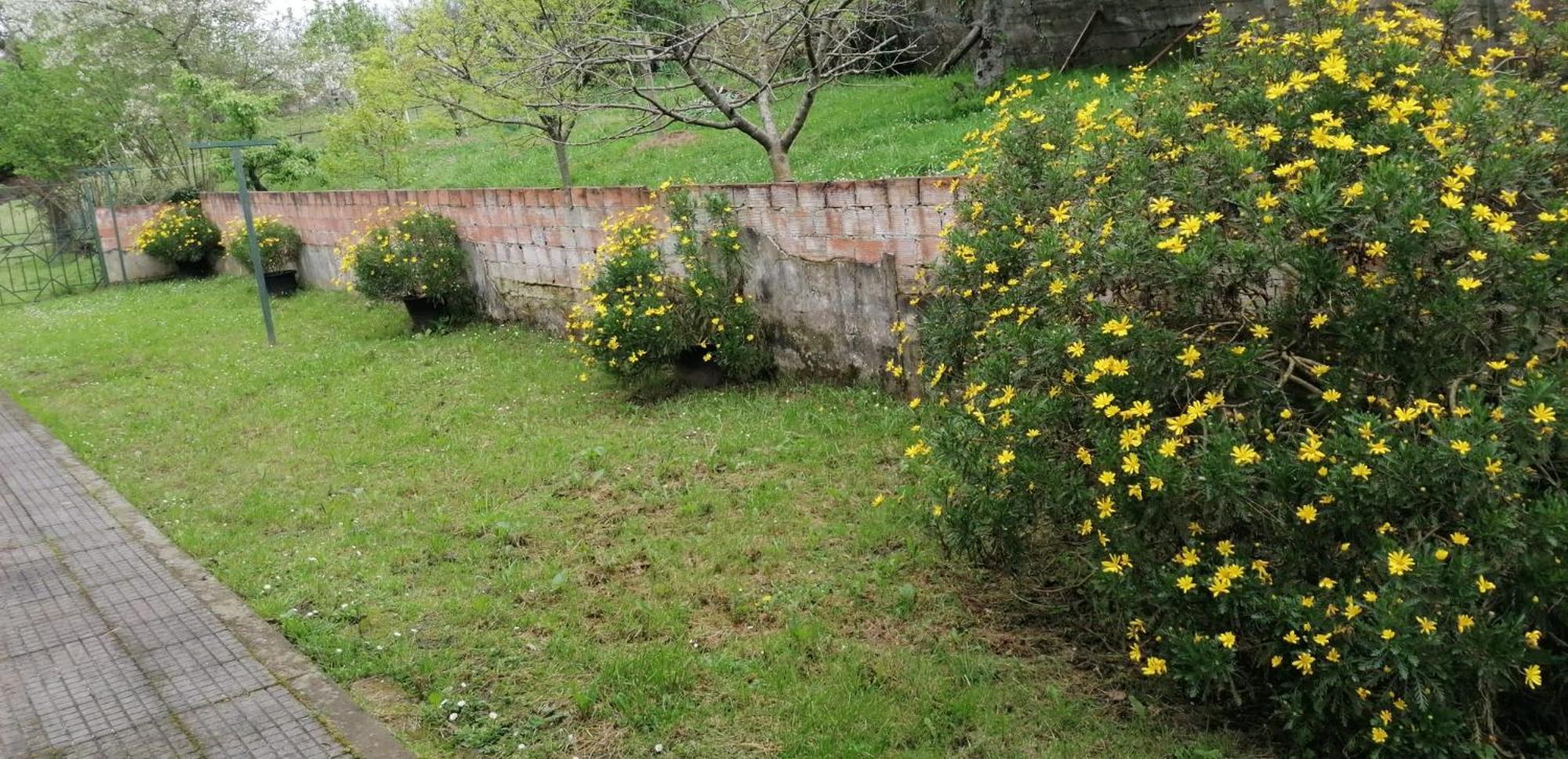 Fondu La Llosa - Casita Cerca De Gijon - Vv-662-As Villaviciosa  Luaran gambar